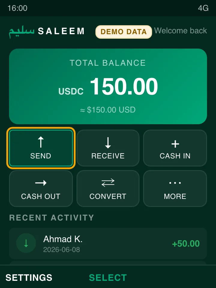 Saleem KaiOS feature-phone wallet home screen with balance card, demo data